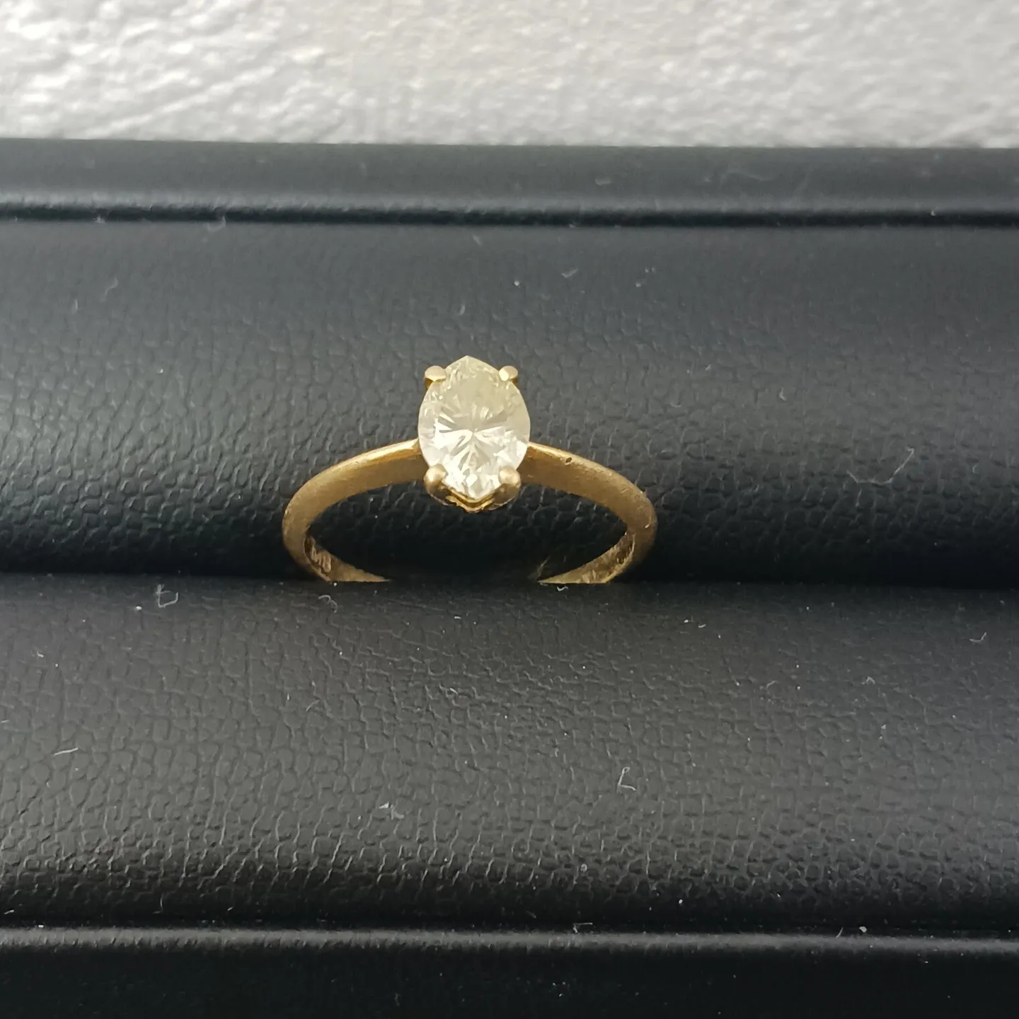 こんにちは、静岡市の皆様！